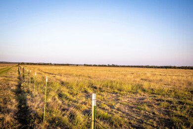 16235 Fm 107, Moody, TX 76557 - photo 4