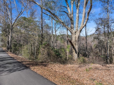 00 W Magnolia Ln, Taylorsville, MS 39168 - photo 6