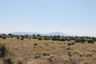 0 Saddleback Cir, Quemado, NM 87829 - photo 2