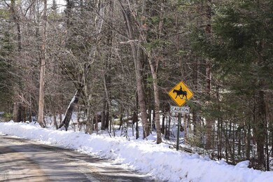 0 Perch Pond Rd unit R-15 Block 00A Lot 8, Lisbon, NH 03585 - photo 4