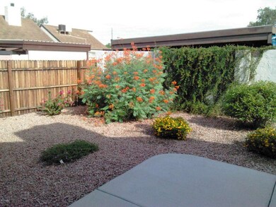 yard2