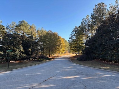 LOT 7 Lighthouse Point, Lincolnton, GA 30817 - photo 4