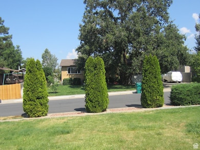 View of grassy yard