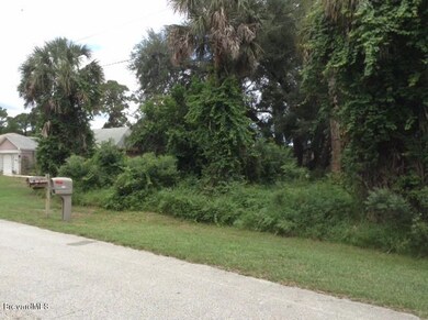 natural state lots of nice  palms  trees