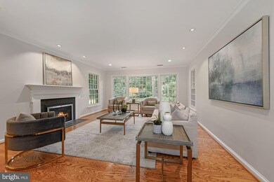 7413 Burtonwood Dr, Alexandria, VA 22307 - photo 6