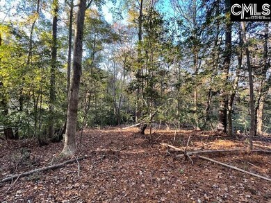 1620 Washington Lever Rd, Little Mountain, SC 29075 - photo 7