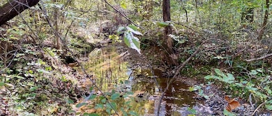 Drakes Main St, Drakes Branch, VA 23937 - photo 4