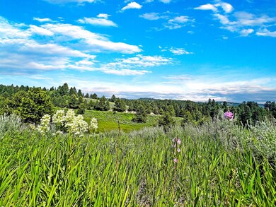Enjoy Nature From Your Property
