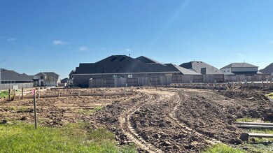 17214 Coppice Oak Dr, Hockley, TX 77447 - photo 2