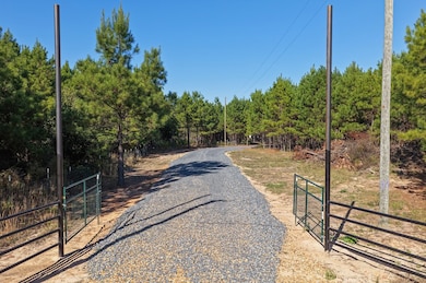 516 County Road 4103, New Boston, TX 75570 - photo 3