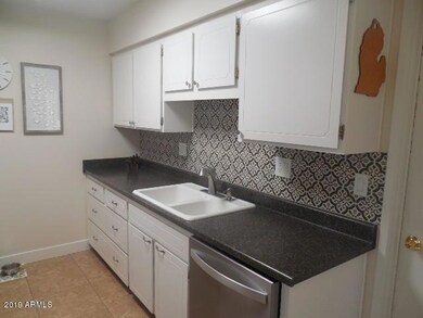 Decorative Back splash