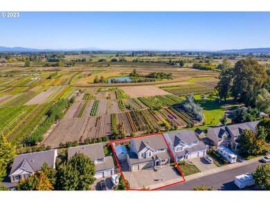 Drone View/UAV