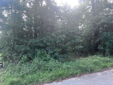 206 Memorial Ave unit 147, Sumter, SC 29153 - photo 4