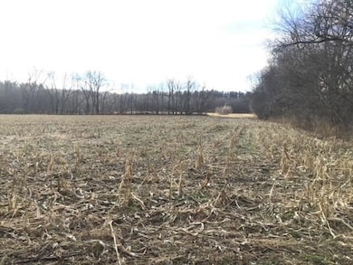 32155 Fillmore Rd, New Carlisle, IN 46552 - photo 7