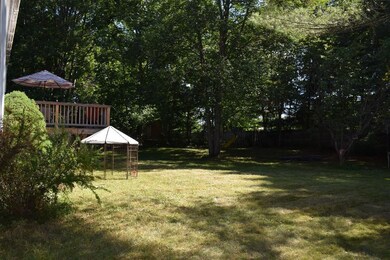 Side view of back yard