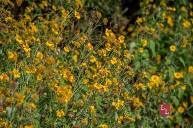 Greasy Bend Rd, Mannsville, OK 73447 - photo 7