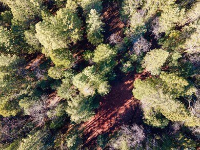 DJI_0557HDR01