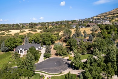 Aerial overview of property's location
