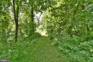 0 Ccc Rd unit VAWR142660, Linden, VA 22642 - photo 2