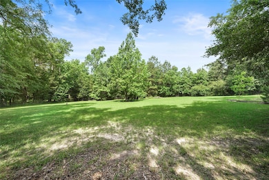 Green meadow approximately 1/2 acre or more.