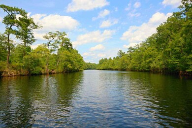 112 Lure Ct unit Homesite 4, Conway, SC 29526 - photo 2