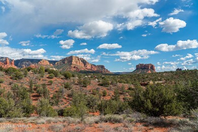 JL_35Sagebrush-ground-09