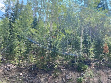 IMG-1784