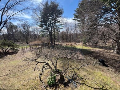 321 Middle St, Amherst, MA 01002 - photo 7