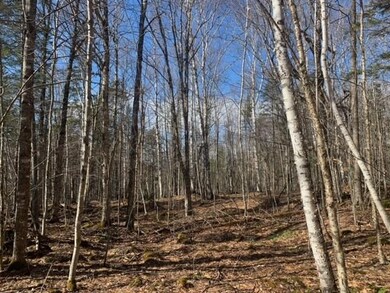 0 Gore Rd, Lancaster, NH 03584 - photo 4