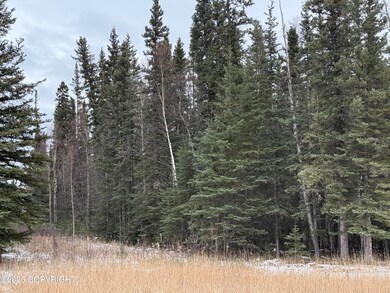 000 Tanana Loop Rd, Big Delta, AK 99737 - photo 5