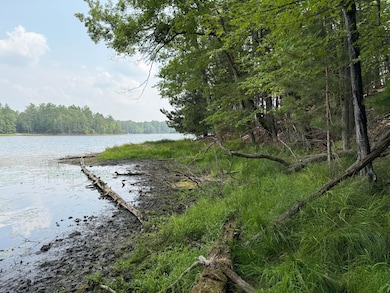 Lot 3 Pine Shore Ln, St. Germain, WI 54558 - photo 6