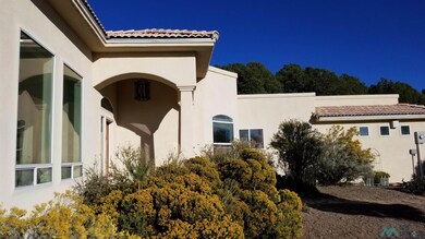 4520 N Swan St, Silver City, NM 88061 - photo 4
