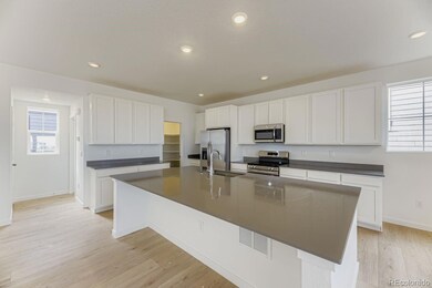 7456 Whiteclover Trail, Littleton, CO 80125 - photo 3