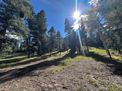 134 Onate Rd, Angel Fire, NM 87710 - photo 7
