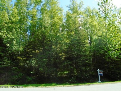 Southpark Bluff frontage