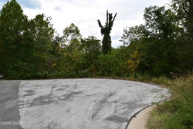 Lot 21 Ridgeview Ct, Joplin, MO 64804 - photo 5