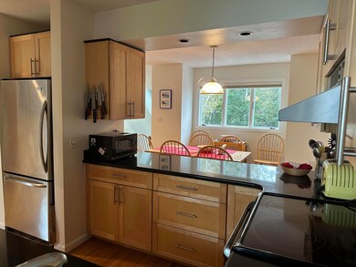 77 Osceola Rd unit 8, Waterville Valley, NH 03215 - photo 7