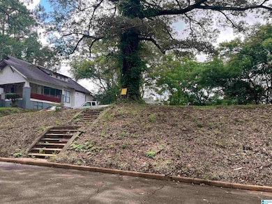 2612 38th Ave N unit Lot 34 & 35, Birmingham, AL 35207 - photo 2