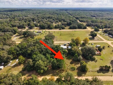 206 N Helmers Ave, Interlachen, FL 32148 - photo 5