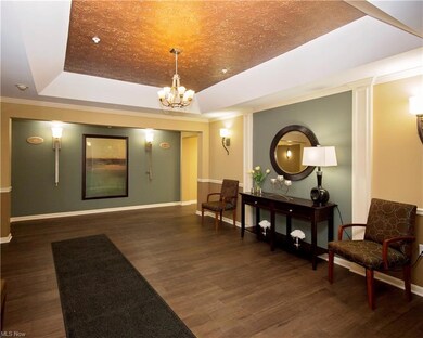 702 Aqua Marine Blvd unit 21, Avon Lake, OH 44012 - photo 2
