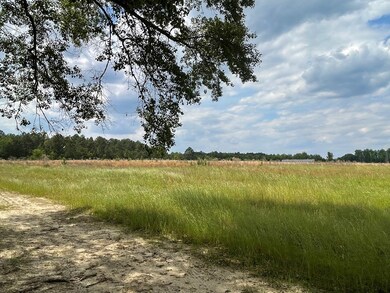 Pasture