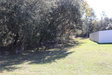 TBD SW 157th St, Ocala, FL 34473 - photo 2