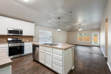 4009 Veiled Falls Dr, Pflugerville, TX 78660 - photo 6