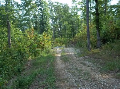 3269 Poplarville Rd, Somerset, KY 42501 - photo 6