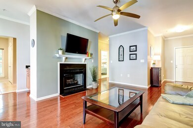 1519 N Point Dr unit 202, Reston, VA 20194 - photo 4