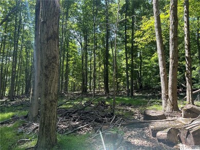 Dead trees cut down