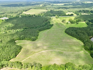 7 Us Hwy 231 S, Brundidge, AL 36010 - photo 6