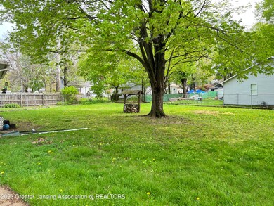 backyard 2