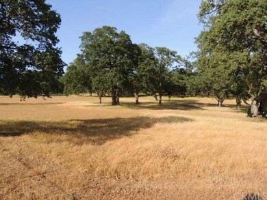 Meadow/Wooded setting