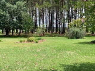 front yard